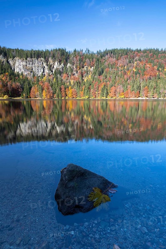 Autumnal forest at Feldsee Lake with reflections