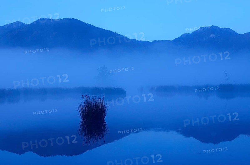 Dusk in the bog