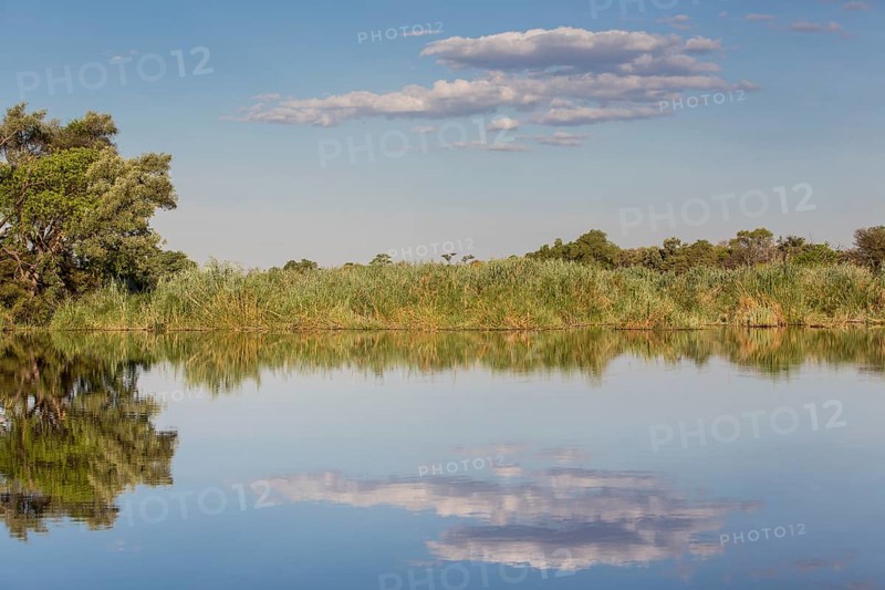 River landscape in Mamili National Park