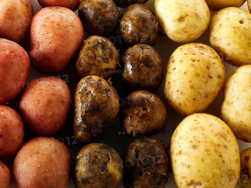 Mixed fresh potatoes