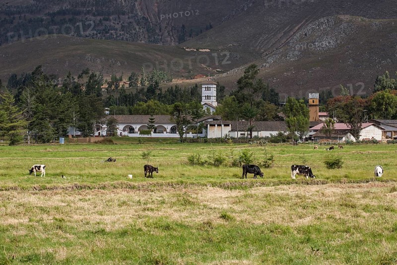 Farm of La Collpa