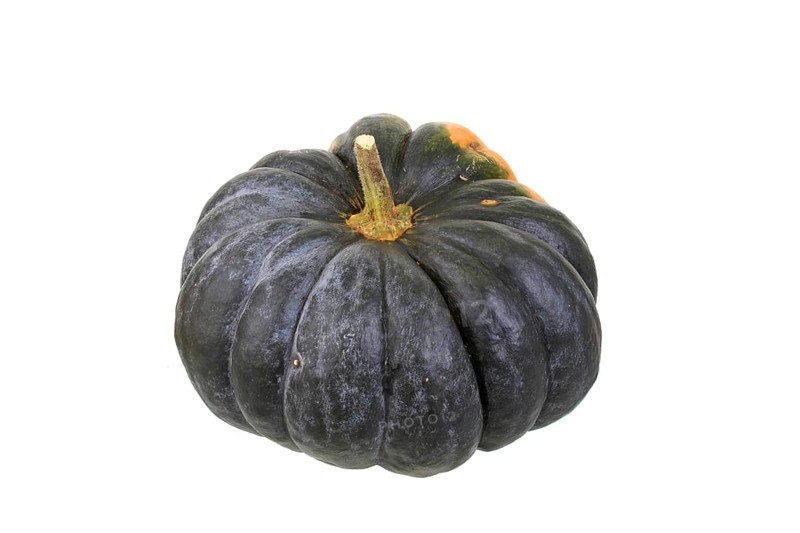 Pumpkin 'Musque de Provence' variety