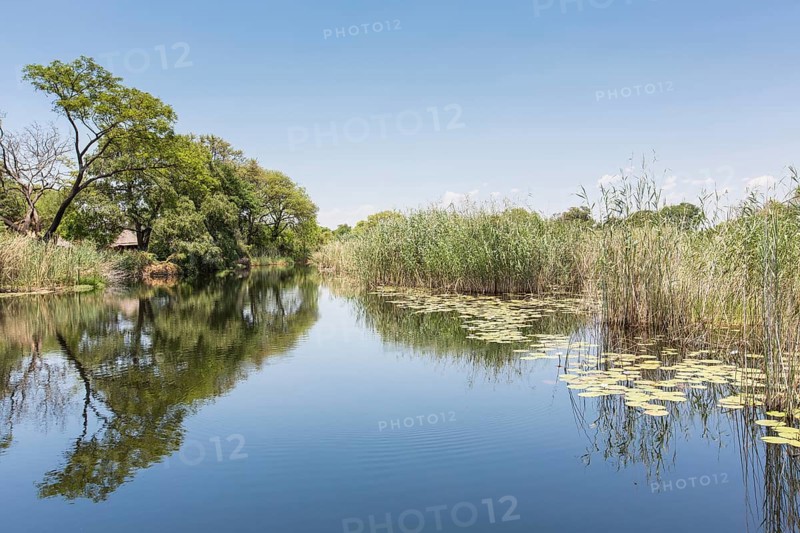 Swampland on the way to Mamili National Park