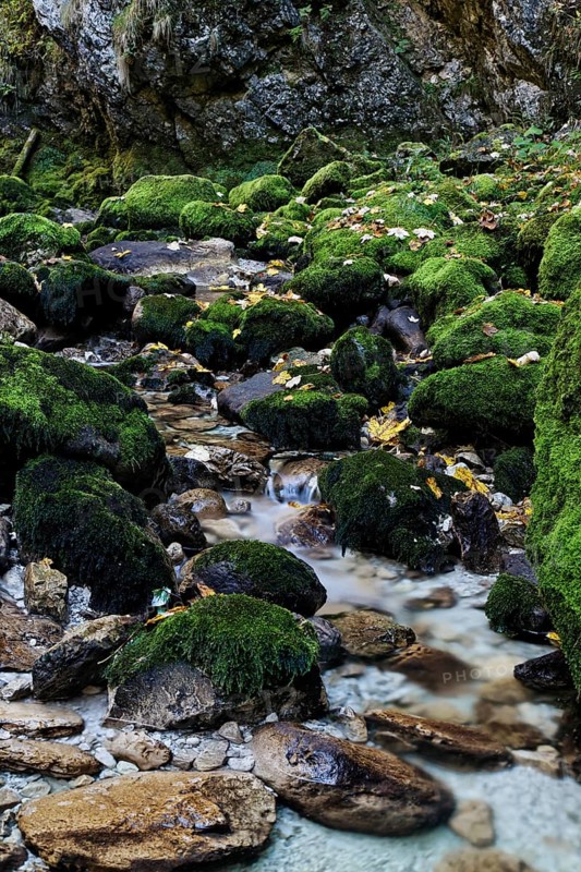 Rocks overgrown with moss covered with autumn leaves