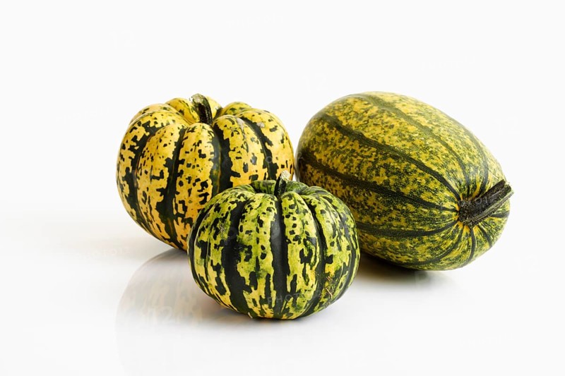 Spaghetti Squash and Chameleon Pumpkins