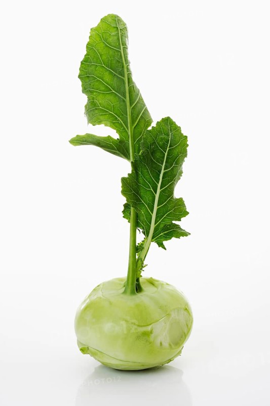Kohlrabi (Brassica oleracea var gongylodes)