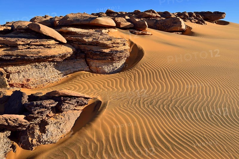 Bicoloured Dunes Noires