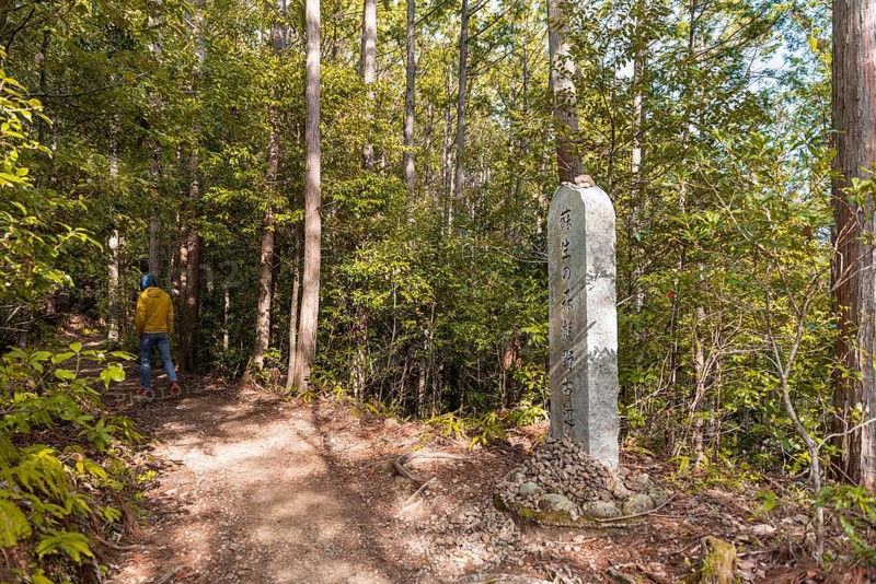 Young man on hiking trail