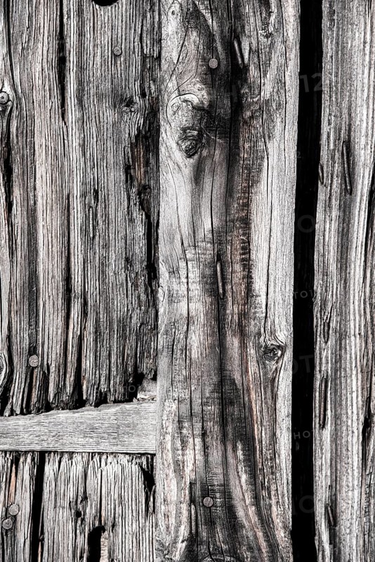 Wood grain in detail