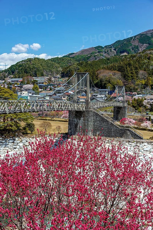 Momosuke Bridge