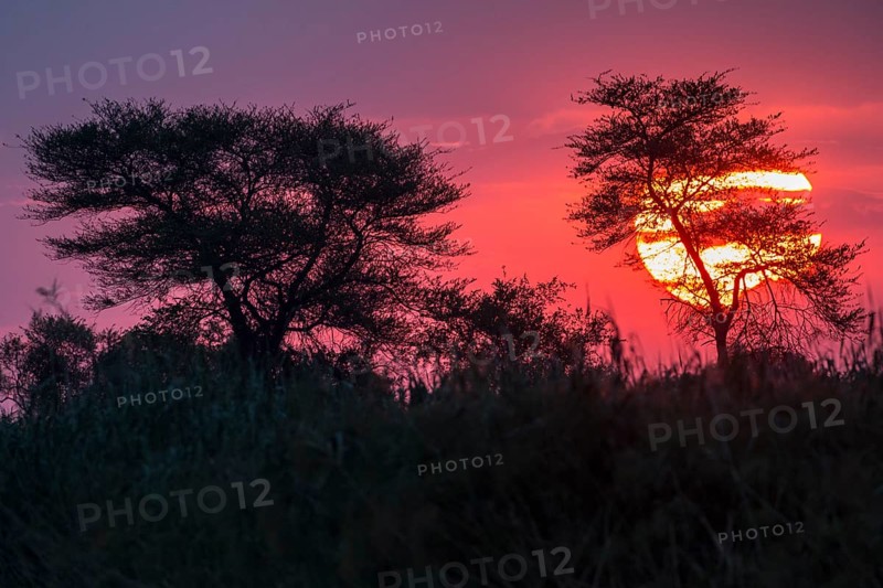 Sunset on the Kwando River