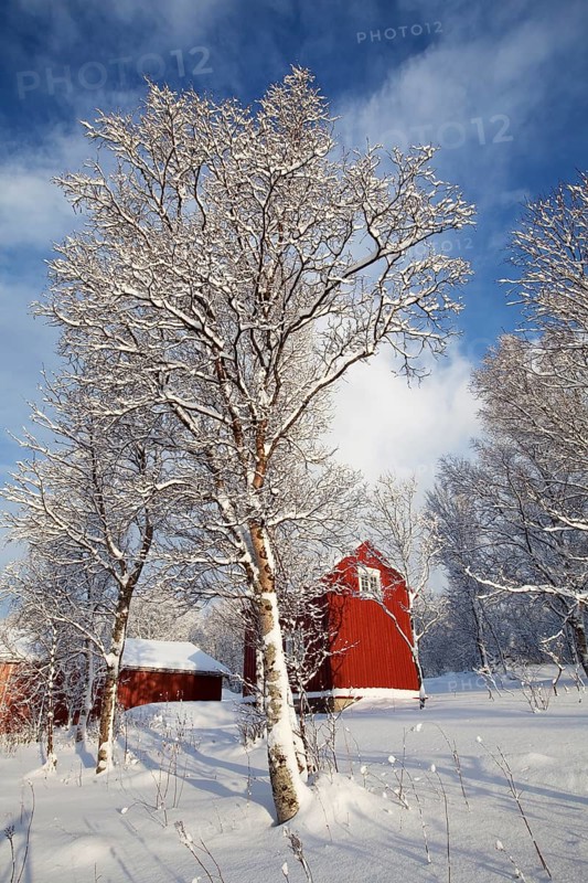 Red wooden house in winter