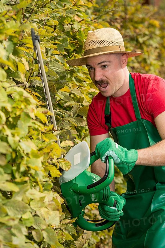 Gardener using a hedge trimmer
