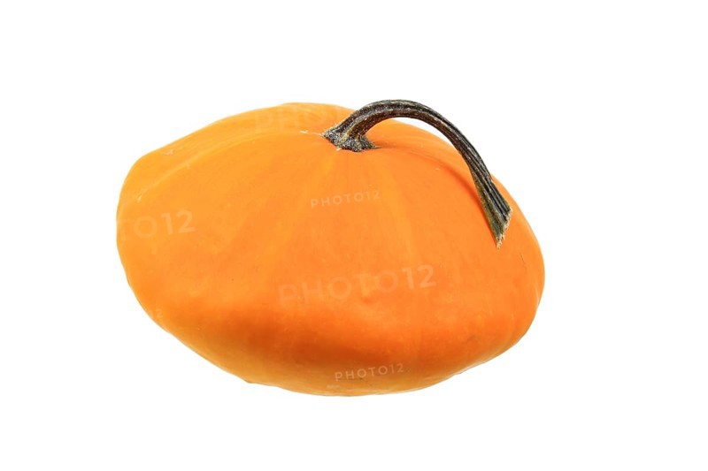 Squash