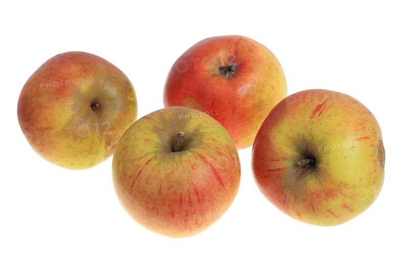Apples