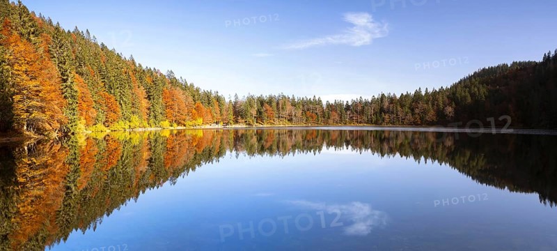 Autumn at Feldsee Lake with reflections near Mt Feldberg