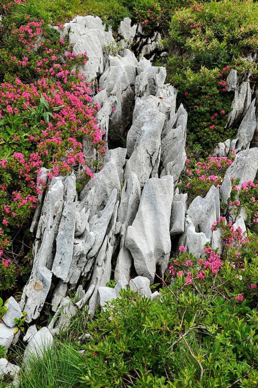 Karst