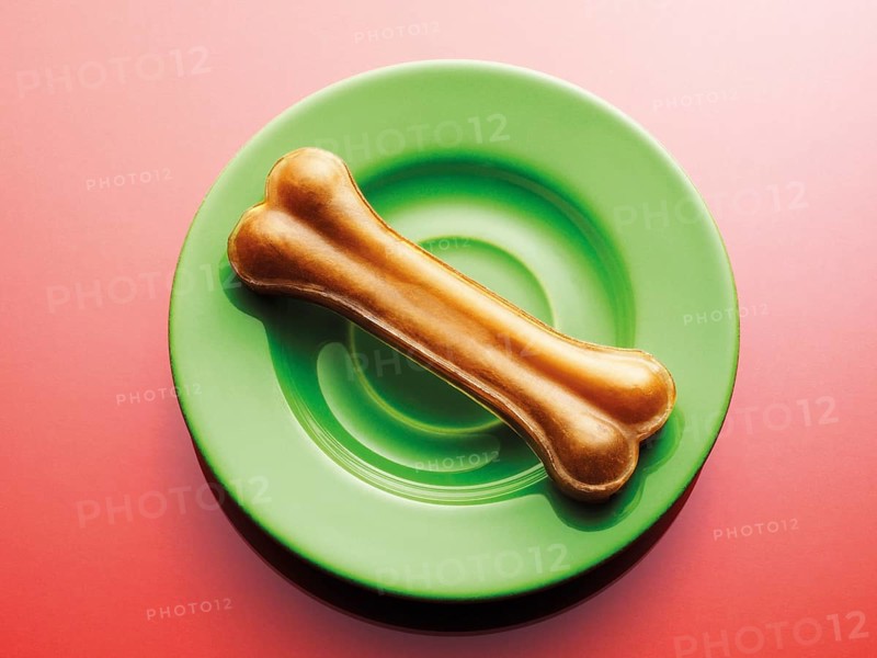 Dog bone on a green plate