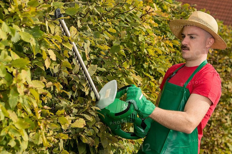 Gardener using a hedge trimmer