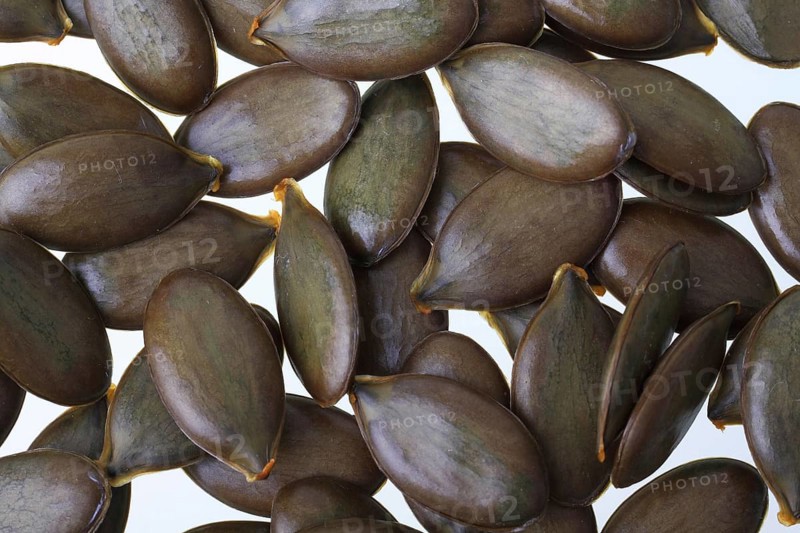 Pumpkin seeds from the Styrian Oil Pumpkin