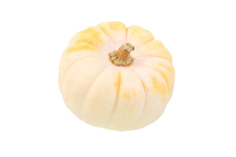 Baby Boo gourd