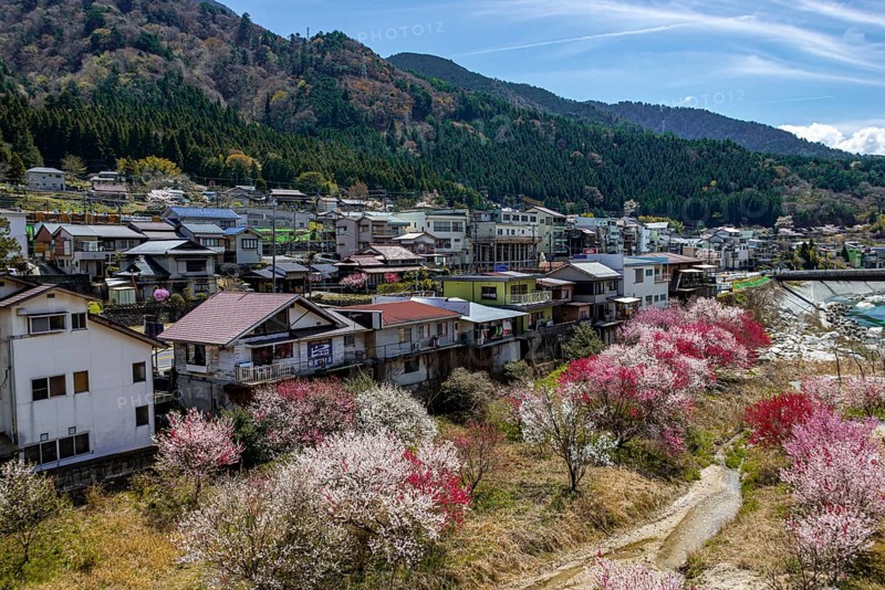 View to Nagiso