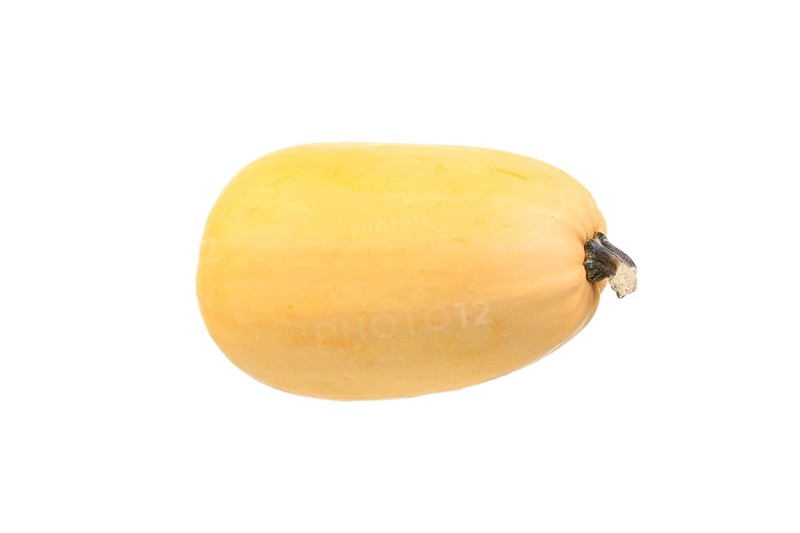 Spaghetti squash