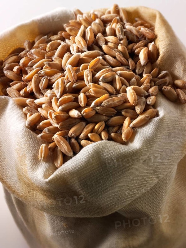 Organic spelt grains