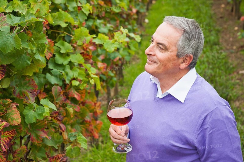Winemaker or vintner holding a glass of wine in his vineyard