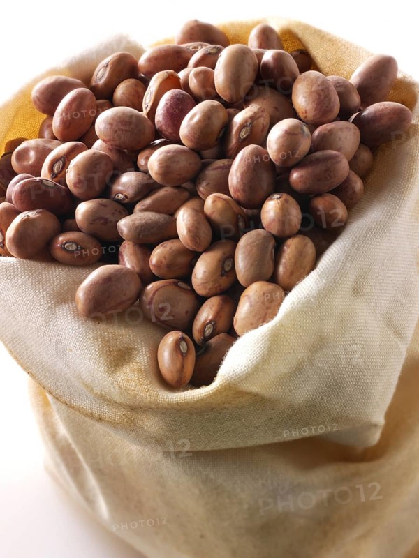 Barlotti beans