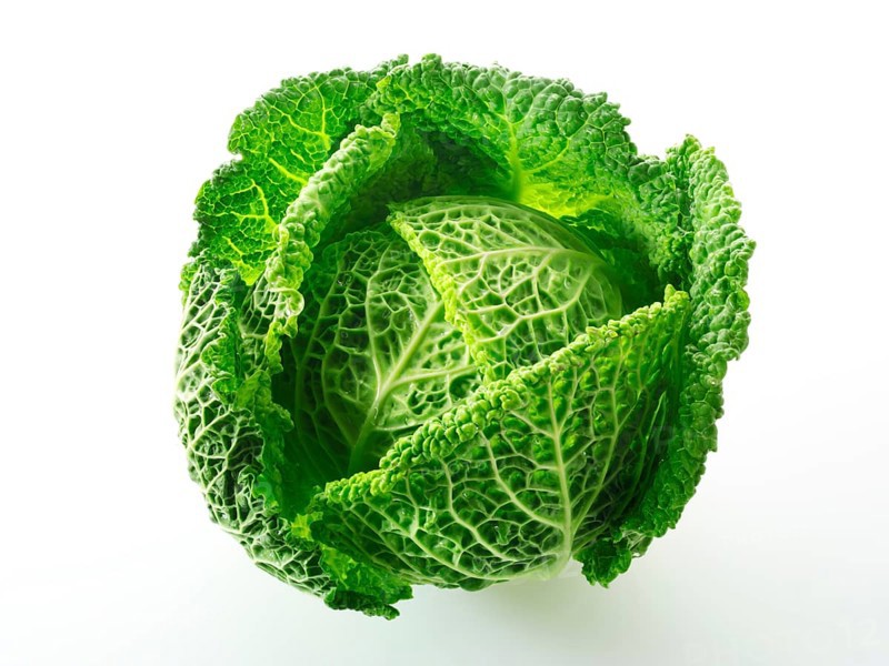 Fresh whole Curly Cabbage