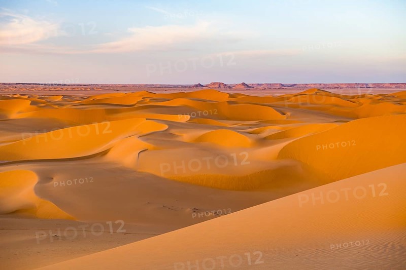 Evening light in the sanddunes of the Sahara