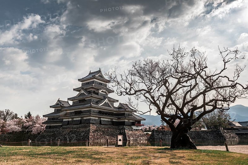 Old Japanese Castle
