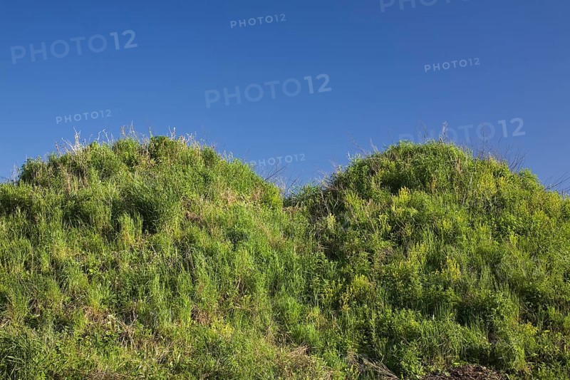 Green plants growing on top of two mounds of topsoil in a commercial sandpit at springtime