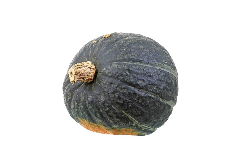 Squash variety 'Cup'