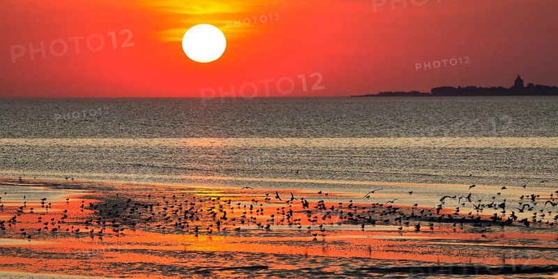 Orange-red sunset over the North Sea
