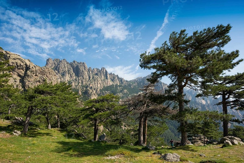 Mountain massif with rocky peaks and pines