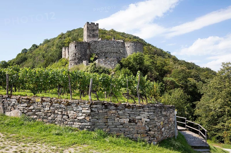 Hinterhaus castle ruins