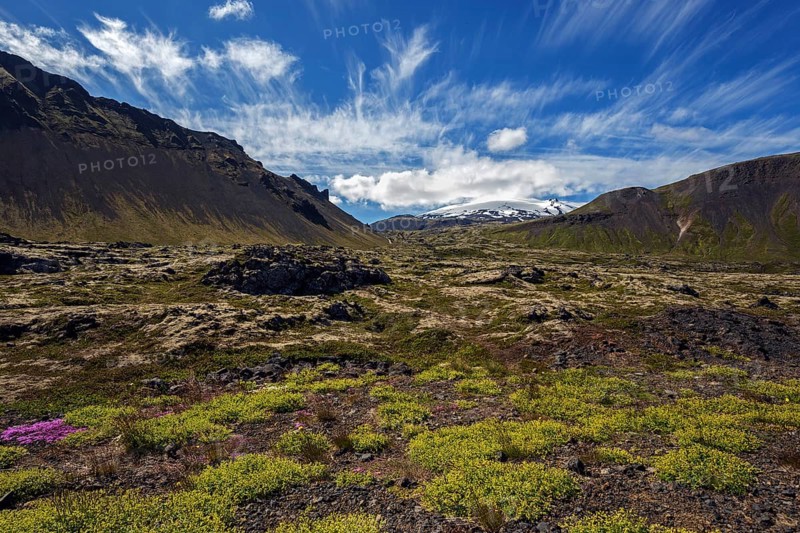 Volcanic landscape overgrown with plants