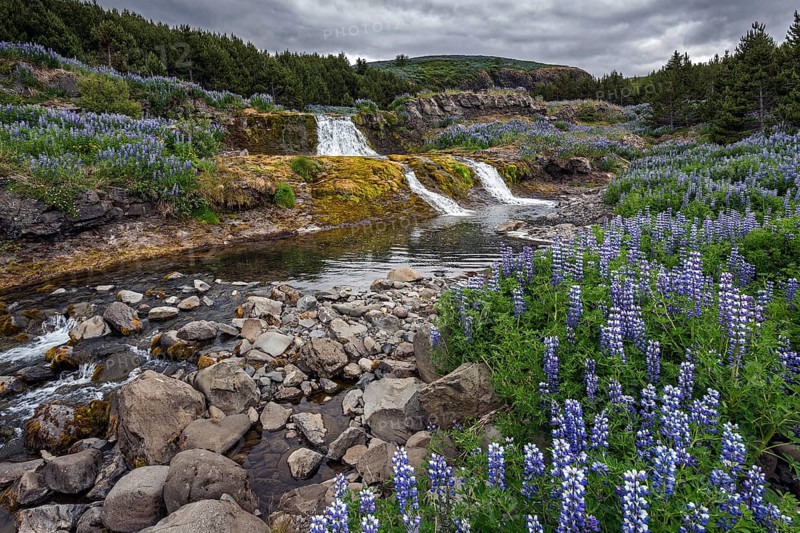 Fossarett waterfall with river Fossa at the fjord Hvalfjorour
