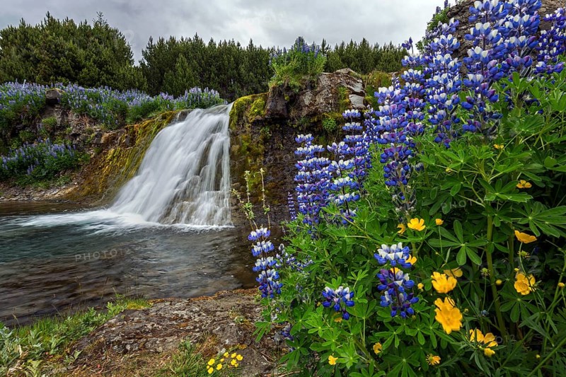 Fossarett waterfall with river Fossa at fjord Hvalfjorour