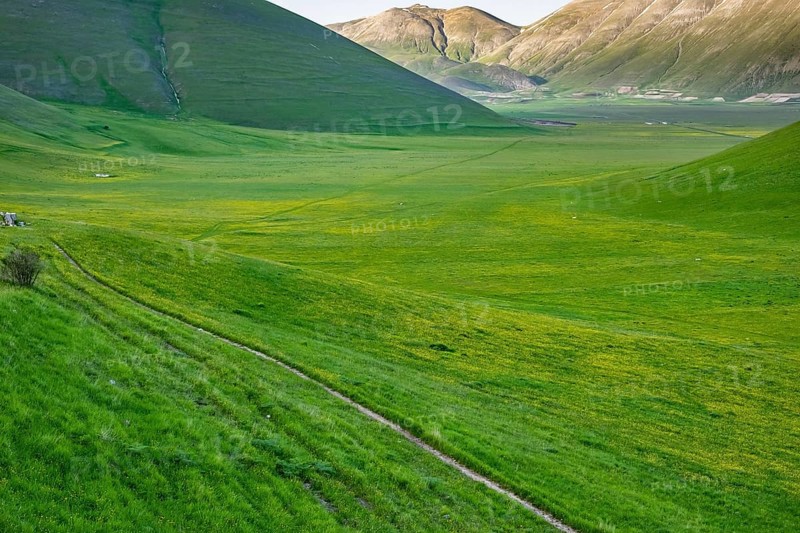 Hiking trail through countryside