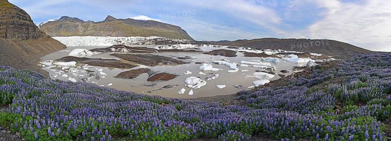 Floating blocks of ice partly coloured black by ashes in the lagoon of the Svinafelljokull Glacier