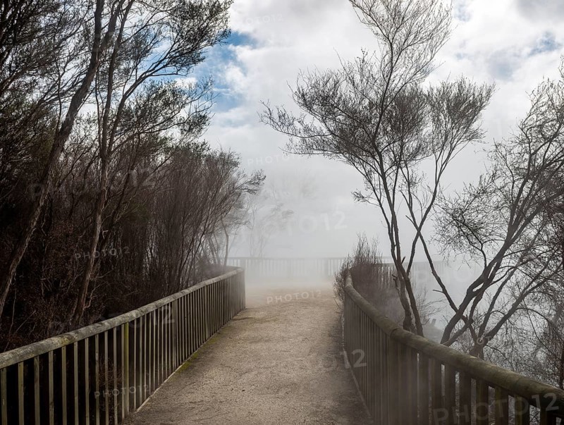 Way in thermal area at steaming hot spring