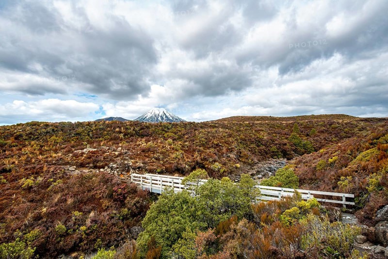Bridge at Tongariro Northern Circuit