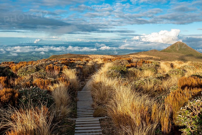 Hiking trail through grassland