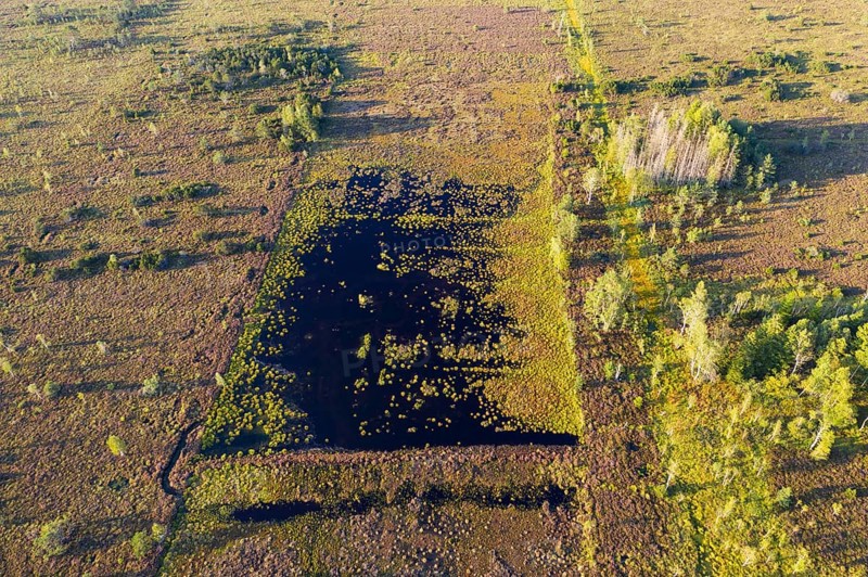 Moor renaturation