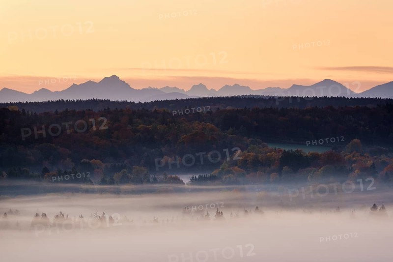 Fog in the Pupplinger Au at dawn