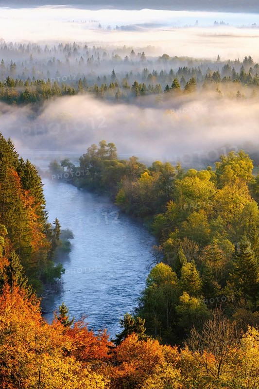 Loisach estuary into the Isar