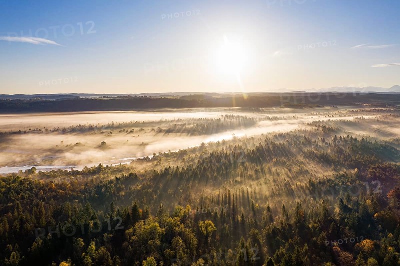 Isar in the Pupplinger Au at sunrise